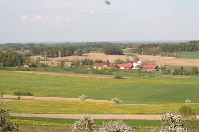 Blick über die Domäne Bettenreute Blick über die Domäne Bettenreute