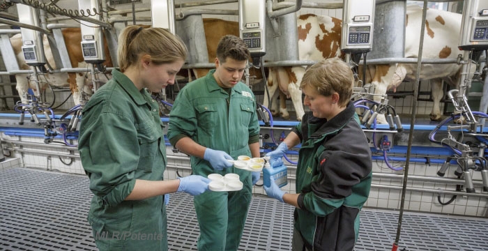 Überbetriebliche Ausbildung